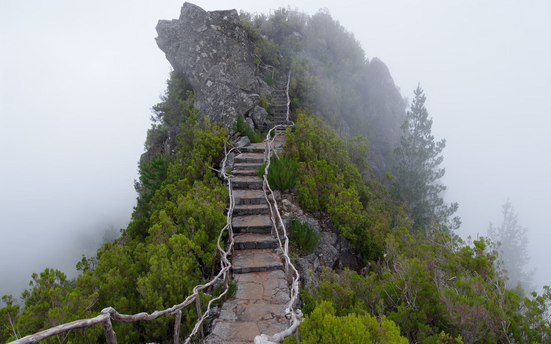 世界山地自行车赛段赛：选手越野能力显著，山地自行车比赛视频2018